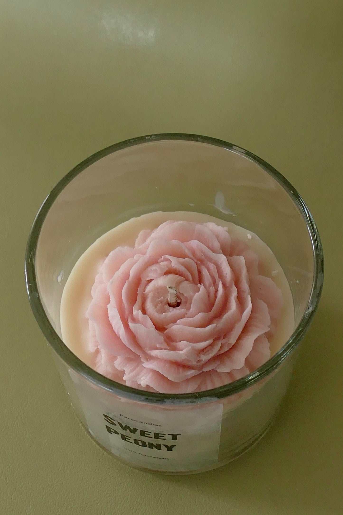 Sweet Peony