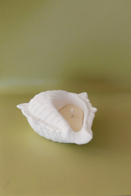 Kerze Seashell