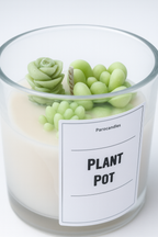 Plant Pot