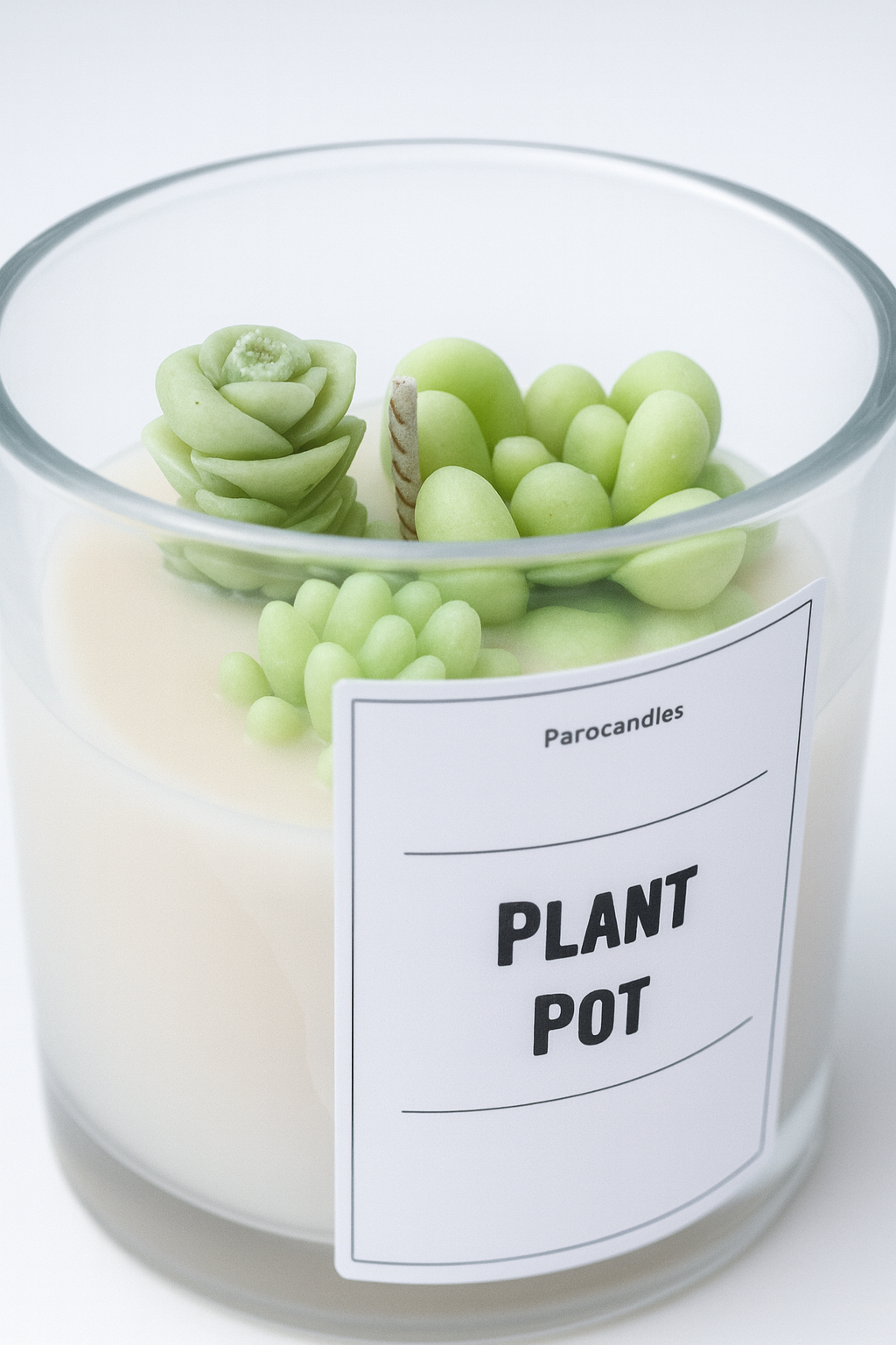 Plant Pot