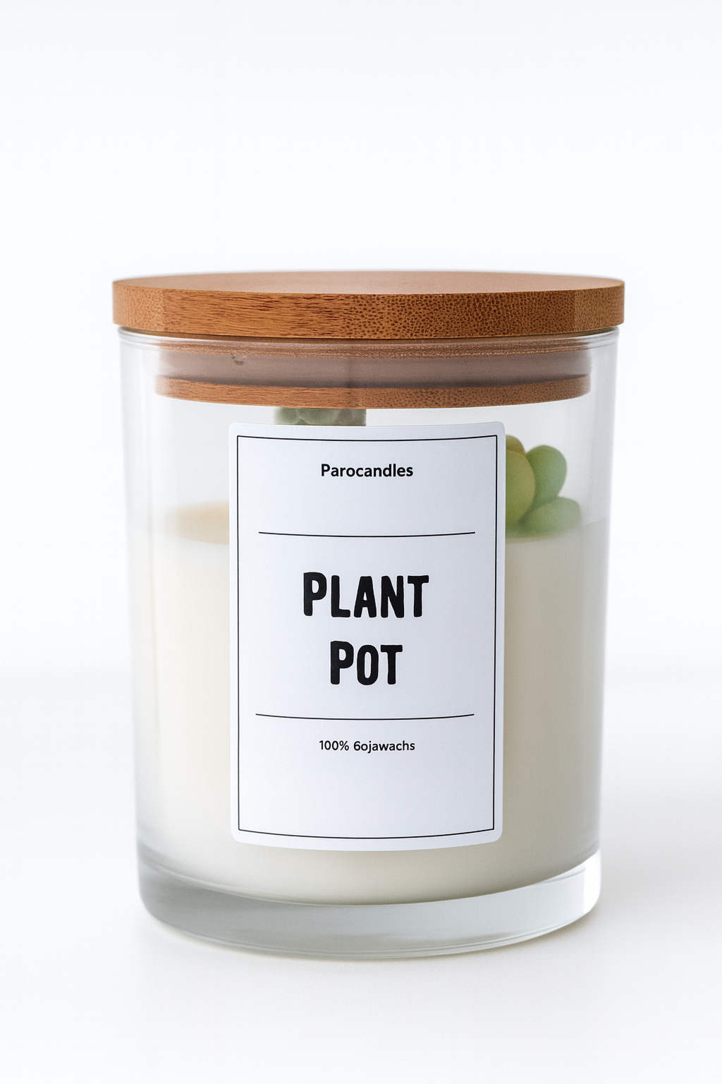 Plant Pot